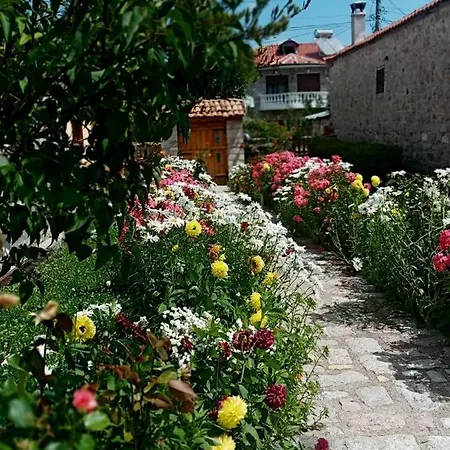 Bujtina Shkodrani Couette-café