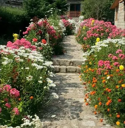 Bed and breakfast Bujtina Shkodrani