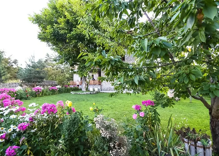 Bujtina Shkodrani Frühstückspension