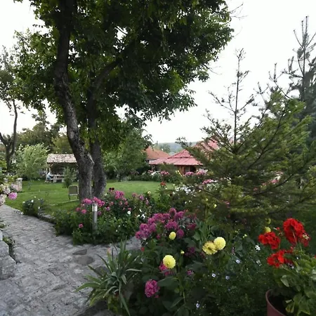Bujtina Shkodrani Bed & Breakfast 3*