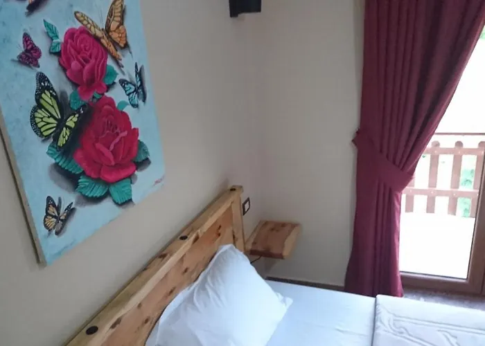 Bujtina Shkodrani فندق مبيت وإفطار 3*
