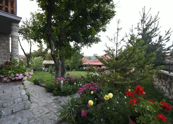Bujtina Shkodrani فندق مبيت وإفطار 3*